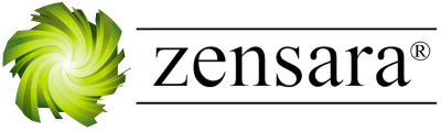 system logo